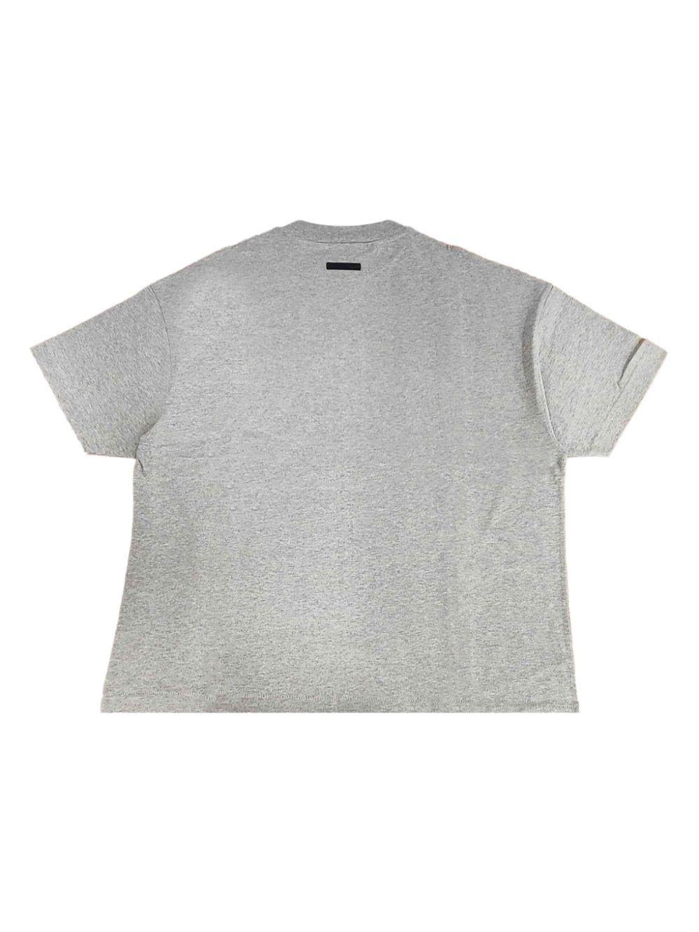 Product image of Crewneck Regular T-Shirt.