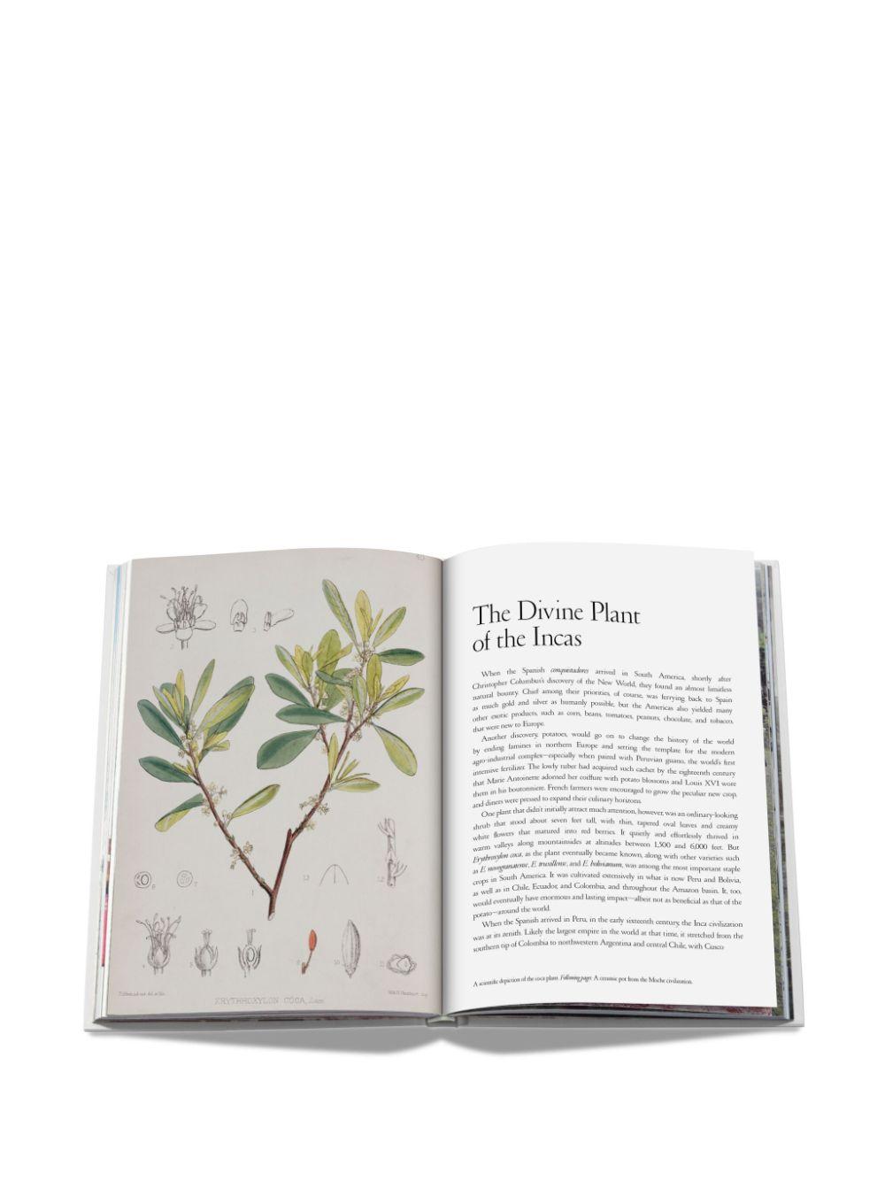 Product image of Cocaïn: History & Culture