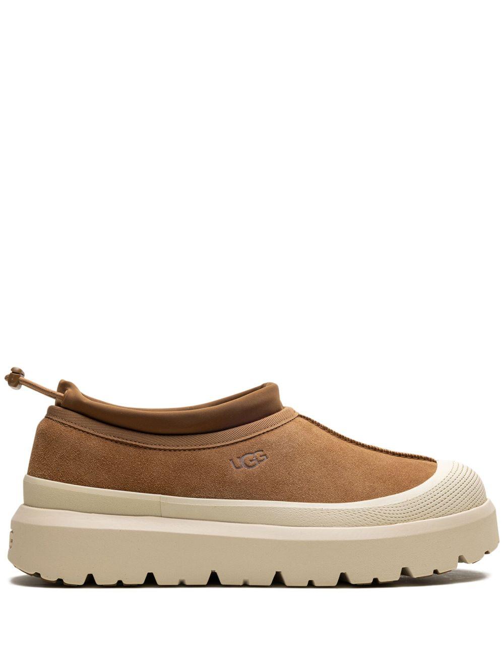 Product image of Tasman Weather Hybrid