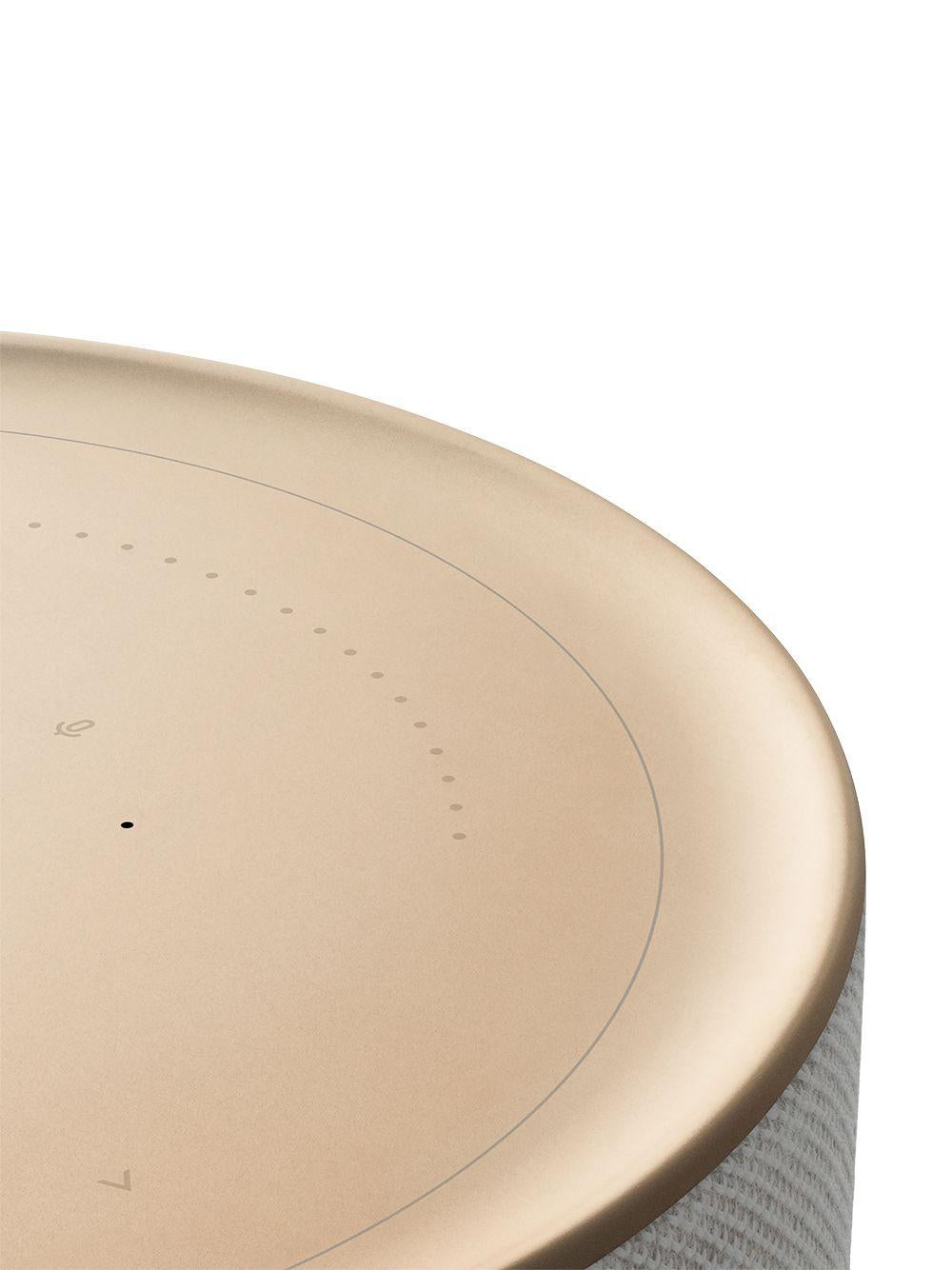 Product image of Bang & Olufsen BeoSound A1 (DEMO)