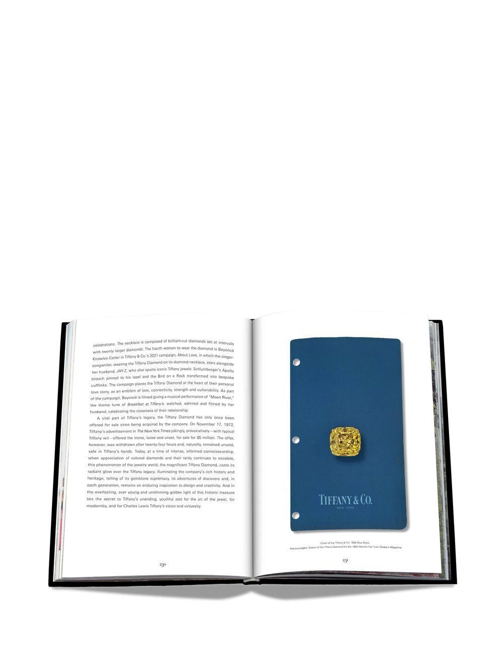 Product photo 3 for product Tiffany: Vision &Virtuosity